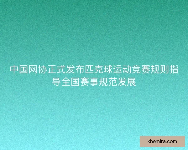 中国网协正式发布匹克球运动竞赛规则指导全国赛事规范发展
